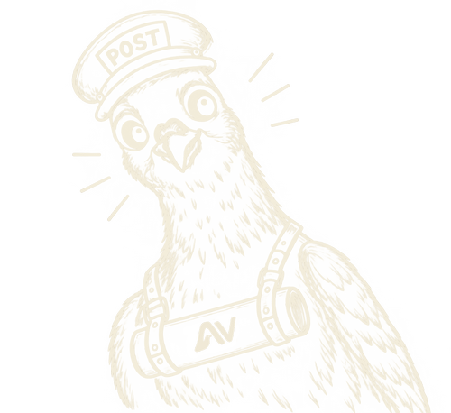 Jenny the pigeon